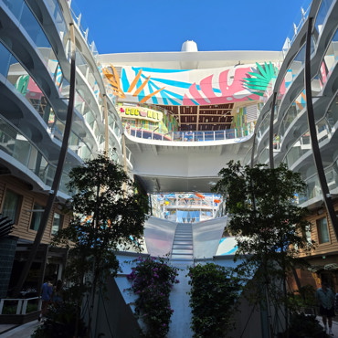 Cruises - Ocean and River