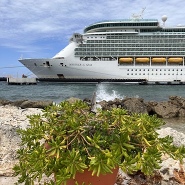 Cruises - Ocean and River