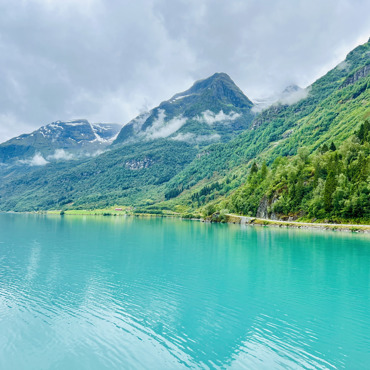 Cruises - Ocean and River