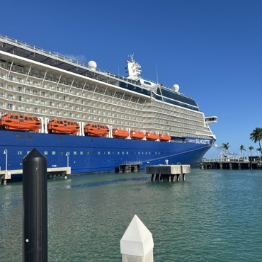 Cruises - Ocean and River