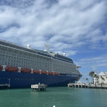 Cruises - Ocean and River