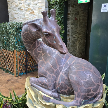 Cruises - Ocean and River